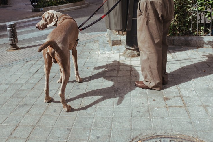 30013653818_7f90c2dc21_h