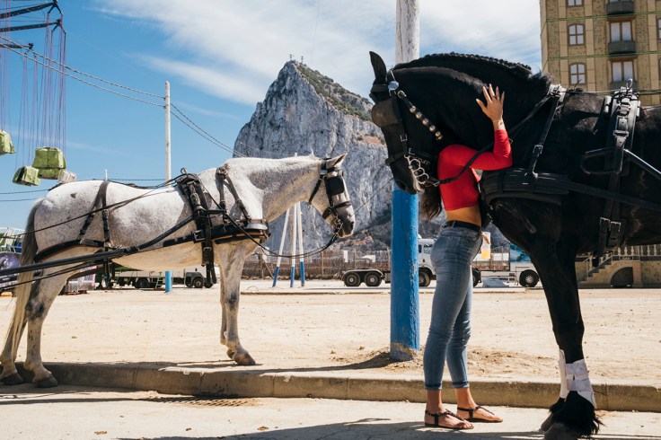 LCEN-Guille-Ibanez 04