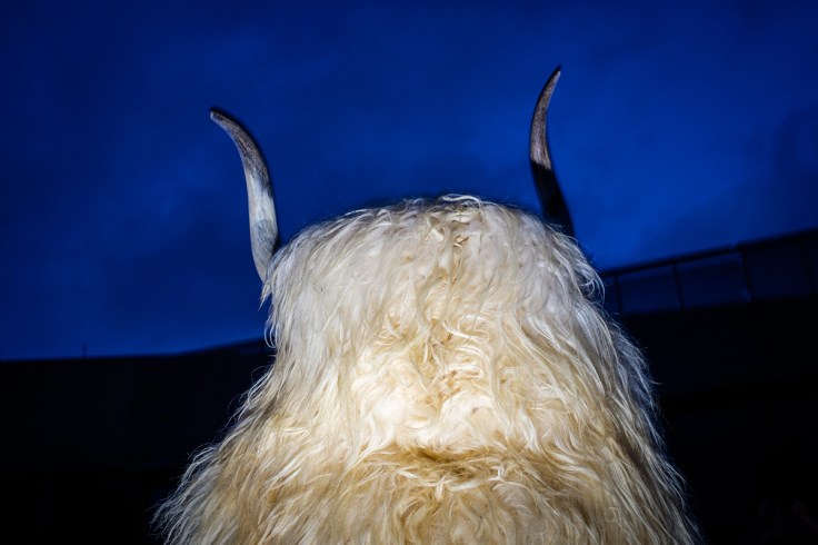 LCEN-Guille-Ibanez 07